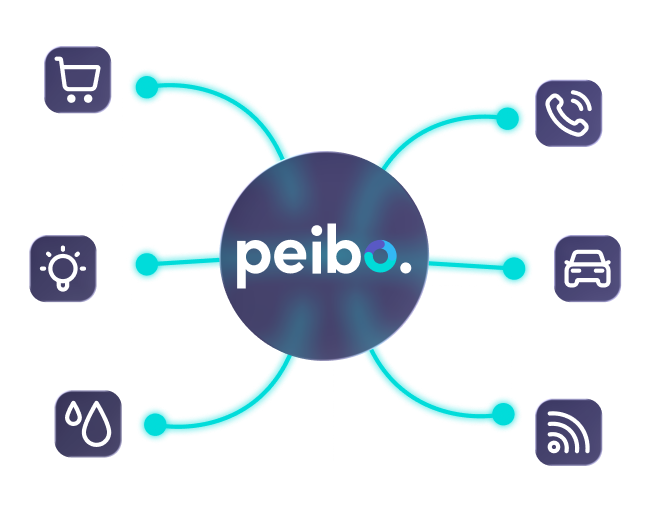 Centralización de pagos de servicios en Peibo